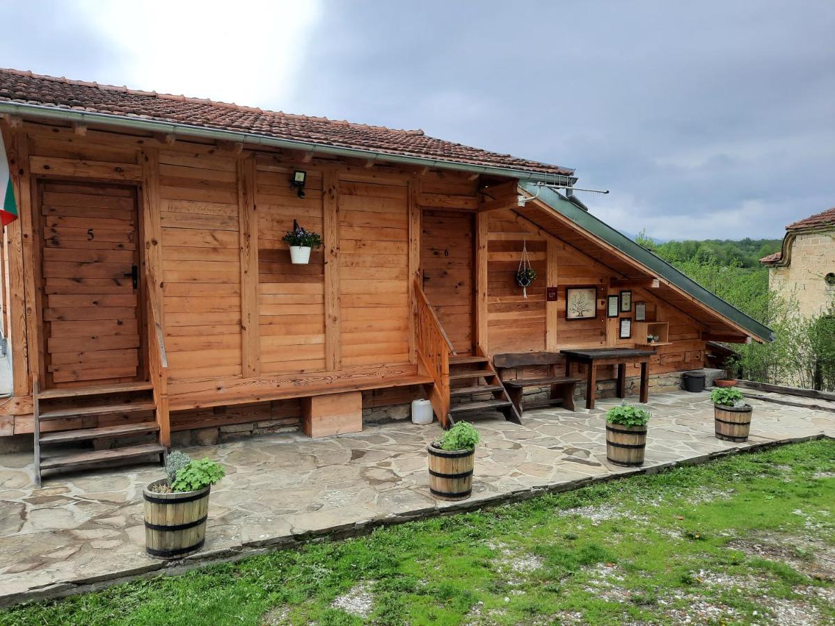 Guest House Kandaferi 2 エレナ エクステリア 写真