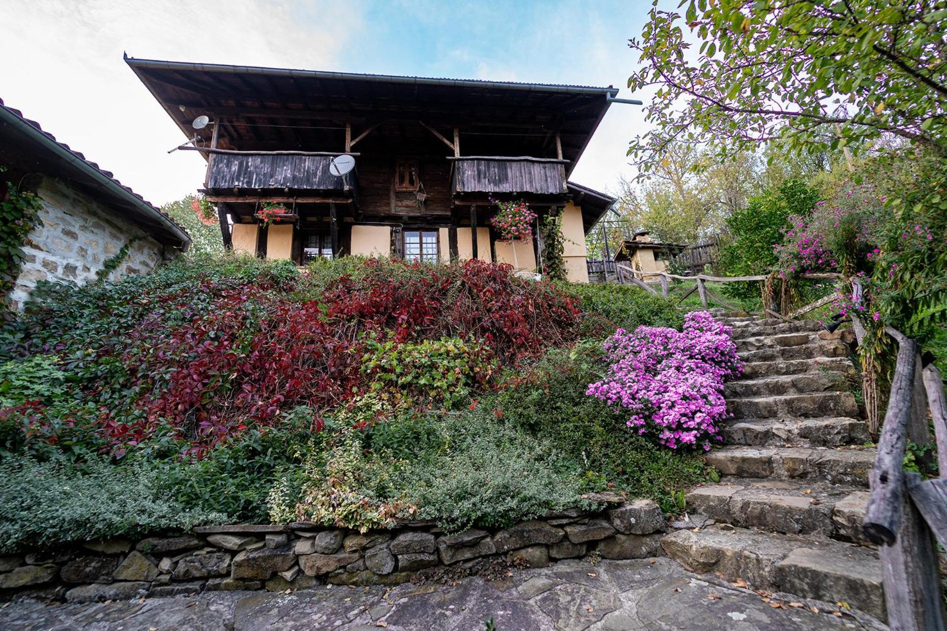 Guest House Kandaferi 2 エレナ エクステリア 写真